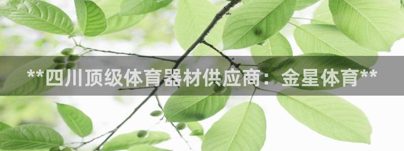 凯时官网下载客户端